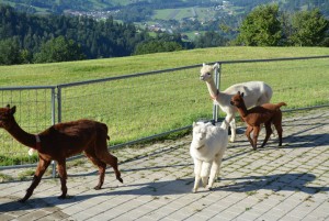 reise02